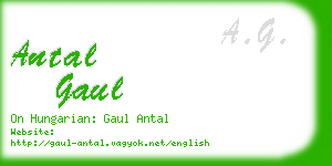 antal gaul business card